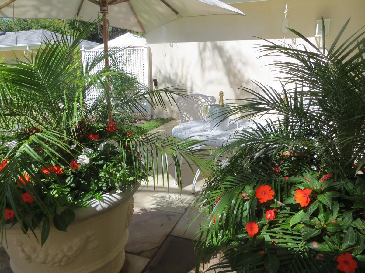 Luxury Suite Garden View